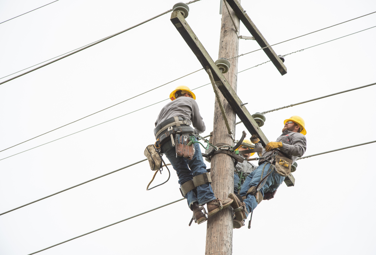 Lineman on a pole